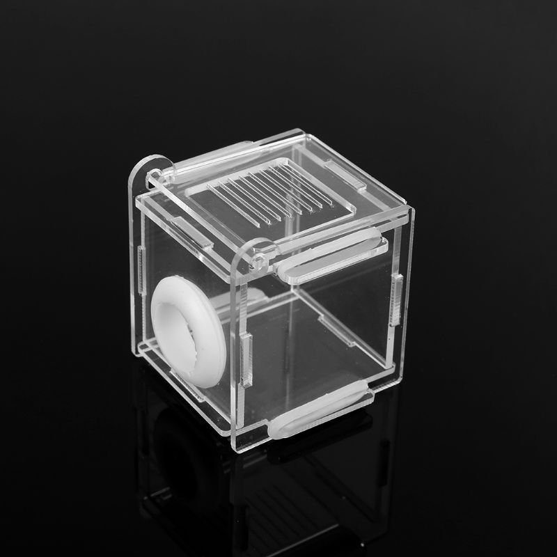 Ant Nest Glass Tube Mini Ant N - Farming Zone incelemesi ve fiyatı