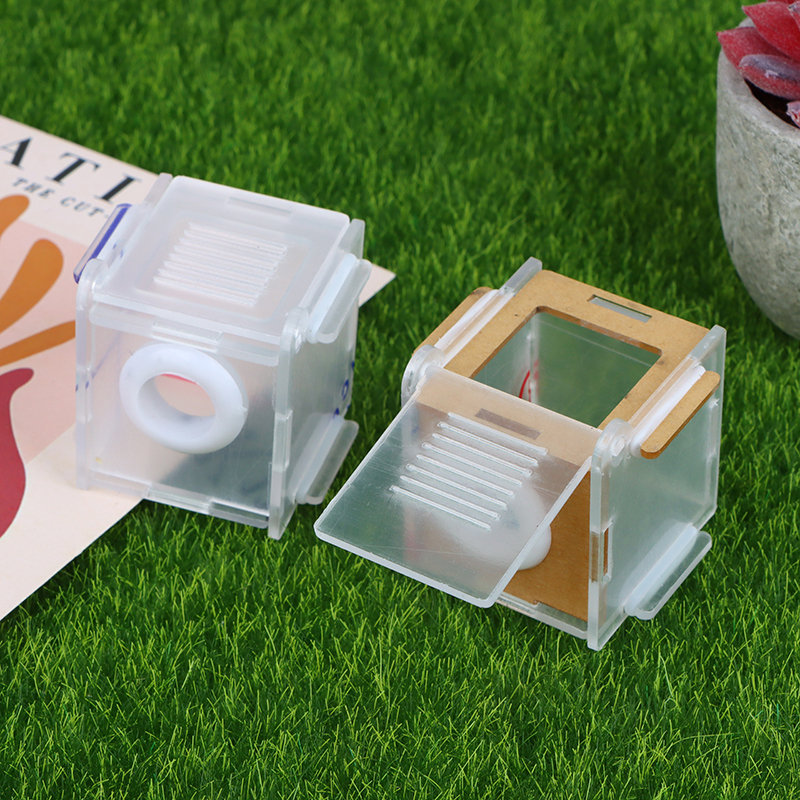 1pc Ant Nest Glass Tube Mini A - Farming Zone incelemesi ve fiyatı