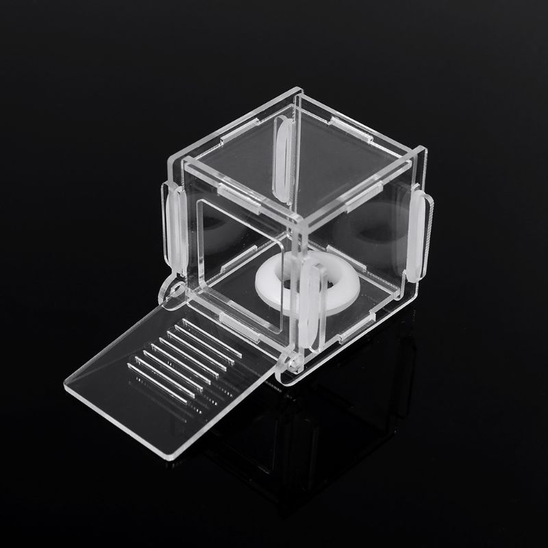 Ant Nest Glass Tube Mini Ant N - Farming Zone incelemesi ve fiyatı
