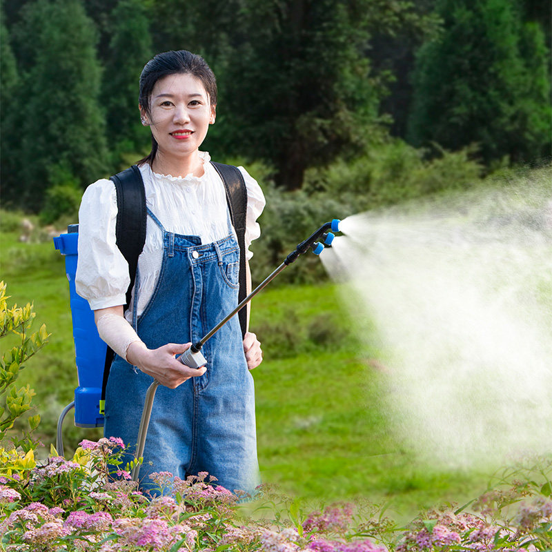 Disinfection Sprayer with Back - Crop Sprayer Backpack incelemesi ve fiyatı