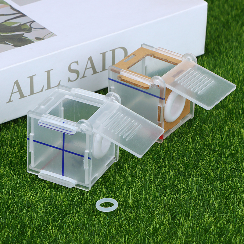 Acrylic high transparency ant  - Farming Zone incelemesi ve fiyatı