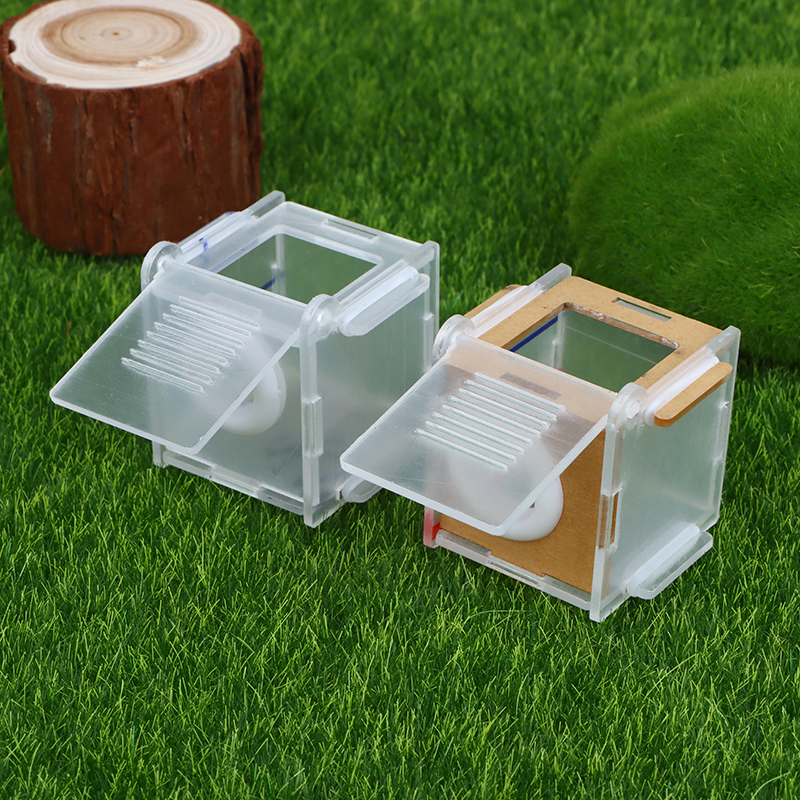 Acrylic high transparency ant  - Farming Zone incelemesi ve fiyatı